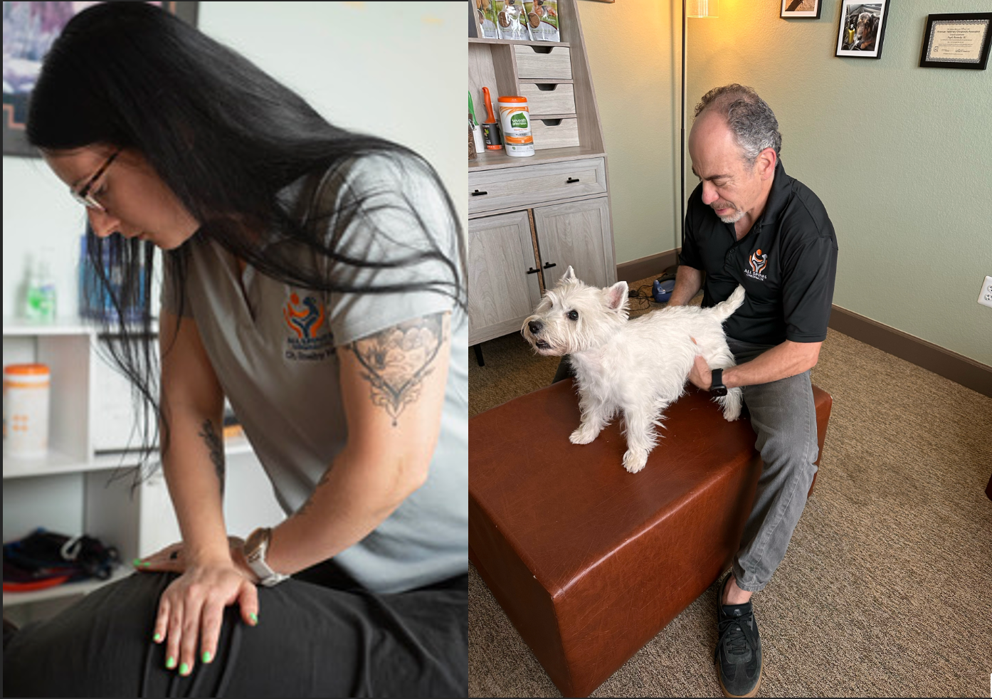 Family & Animal Chiropractor - Round Rock & San Marcos, TX